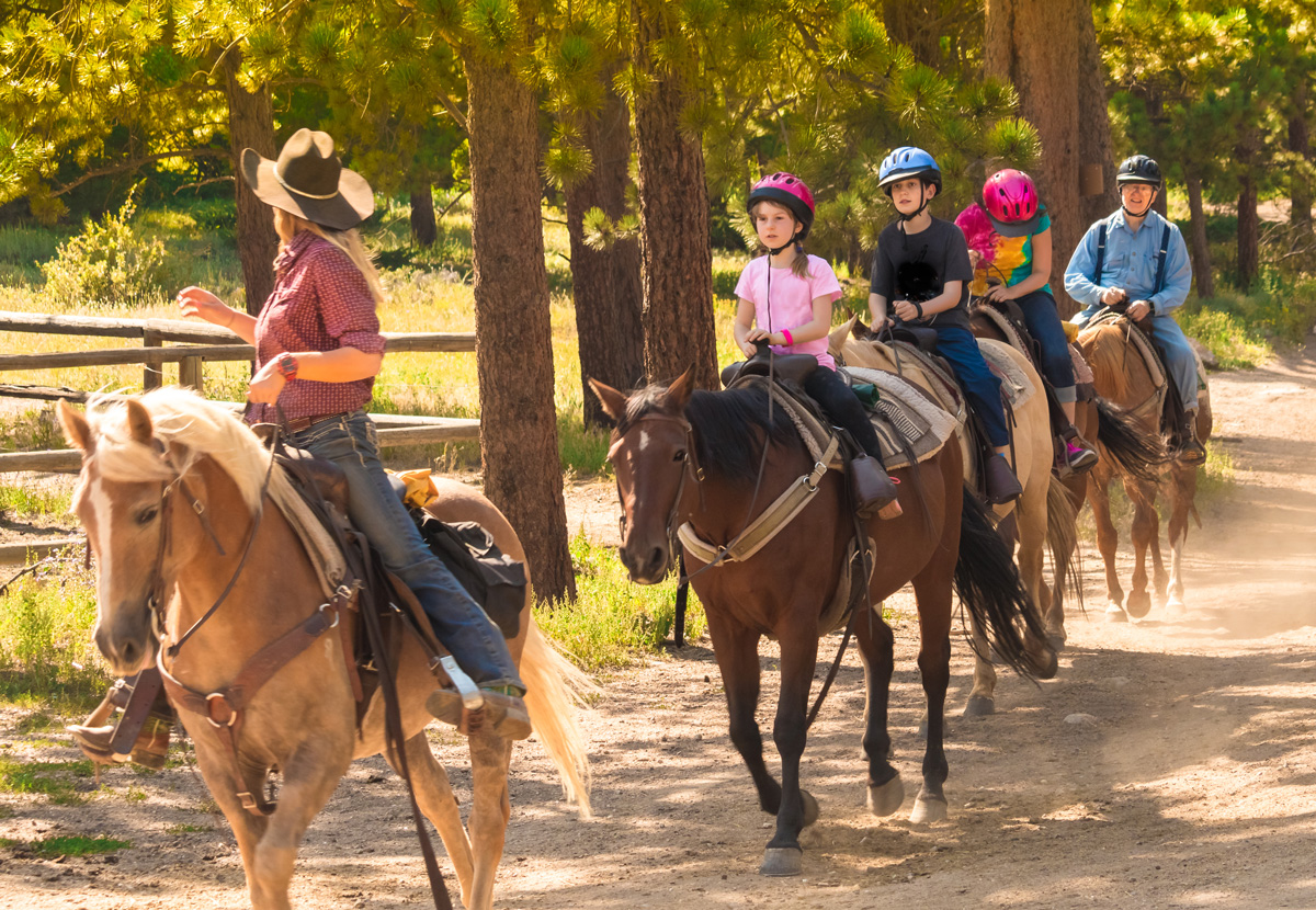 Find A Horse Camp for Children & Youth | Here For Horses