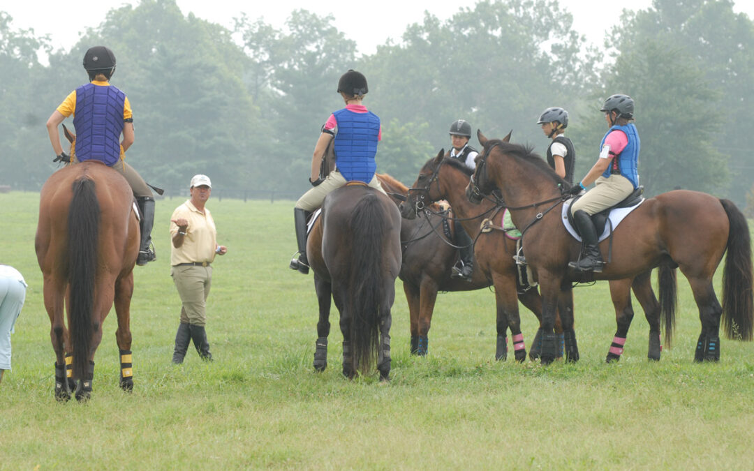 Find Riding Lessons