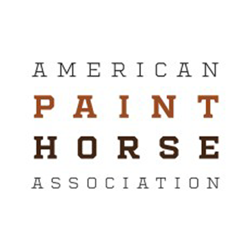 American Paint Horse Association Here For Horses