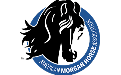 American Morgan Horse Association