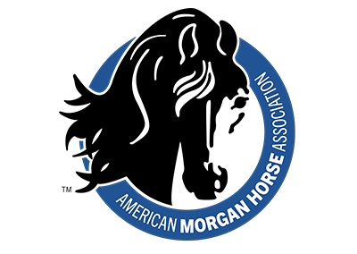 American Morgan Horse Association